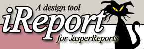 iReport logo